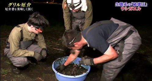 牛哥爆料最新视频,揭秘视频背后的惊人真相！